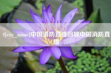 连云港中国消防直播回放中国消防直播