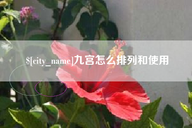 连云港九宫怎么排列和使用