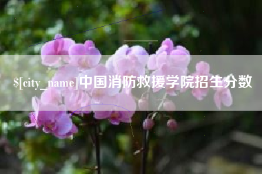 连云港中国消防救援学院招生分数