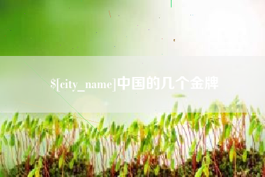连云港中国的几个金牌