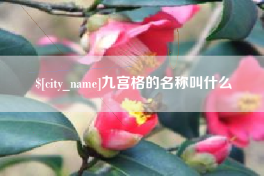 连云港九宫格的名称叫什么