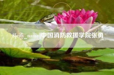 连云港中国消防救援学院张勇