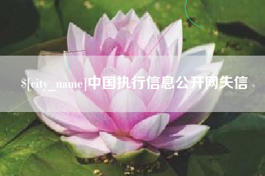 连云港中国执行信息公开网失信