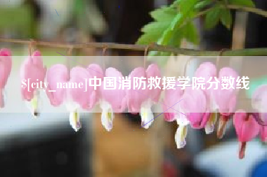 连云港中国消防救援学院分数线