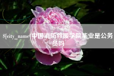 连云港中国消防救援学院毕业是公务员吗