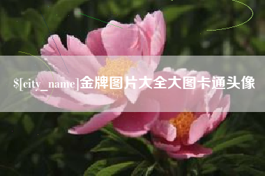 连云港金牌图片大全大图卡通头像