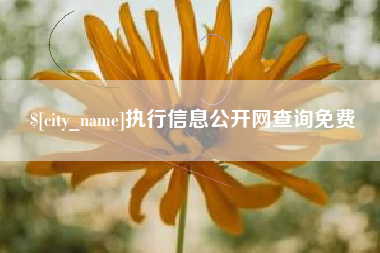 连云港执行信息公开网查询免费