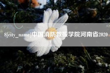 连云港中国消防救援学院河南省2020